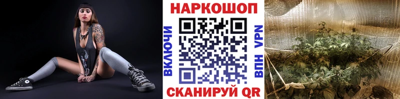 Как найти наркотики Новоржев Псилоцибиновые грибы  Меф мяу мяу  ГАШИШ  Марихуана  Кокаин  APVP 