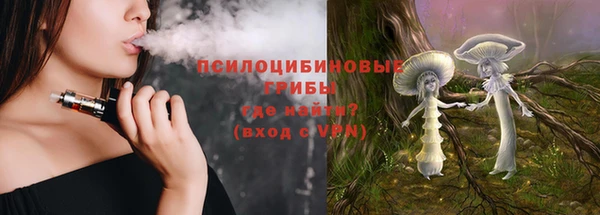 спайс Бородино