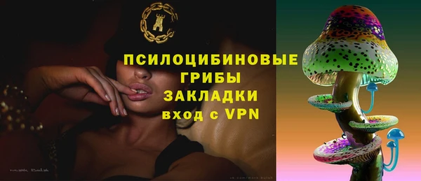 винт Бронницы