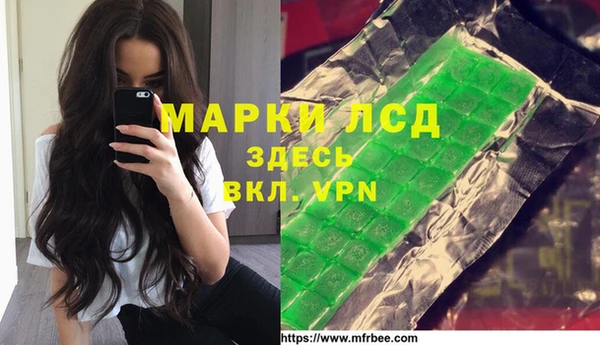 спайс Бородино