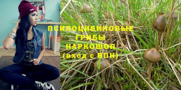 винт Бронницы