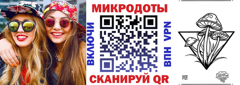 Псилоцибиновые грибы Psilocybe  площадка клад  Новоржев 