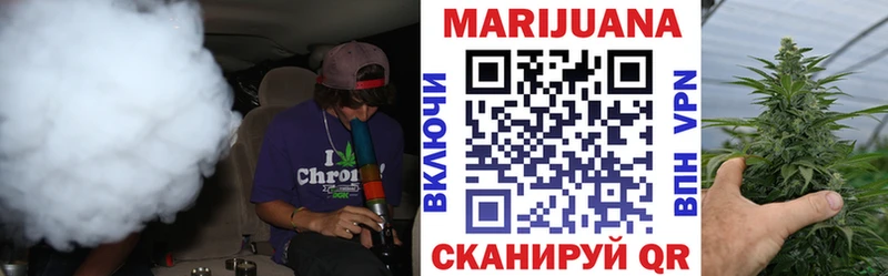 Конопля марихуана  Новоржев 